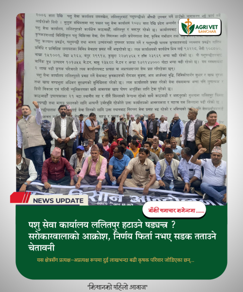 पशु सेवा कार्यालय ललितपुर हटाउने षड्यन्त्र ? सरोकारवालाको आक्रोश, निर्णय फिर्ता नभए सडक तताउने चेतावनी