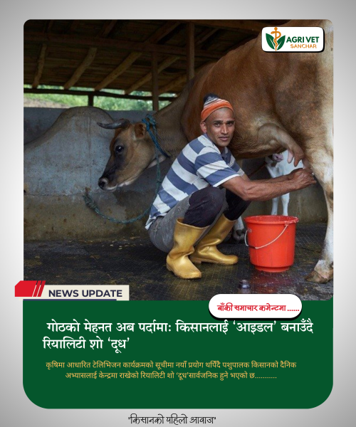 गोठको मेहनत अब पर्दामा: किसानलाई ‘आइडल’ बनाउँदै रियालिटी शो ‘दूध’