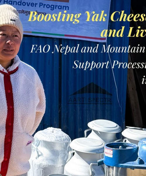 एफएओको साथ पाएसँगै पाँचथरको याक चिज जीवन्त बन्दै