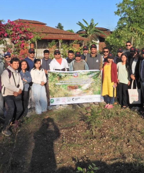 NTNC द्वारा दुई दिने पत्रकार प्रशिक्षण सम्पन्न; मानव–वन्यजन्तु सहअस्तित्वमा समाधानमुखी रिपोर्टिङ गर्न जोड