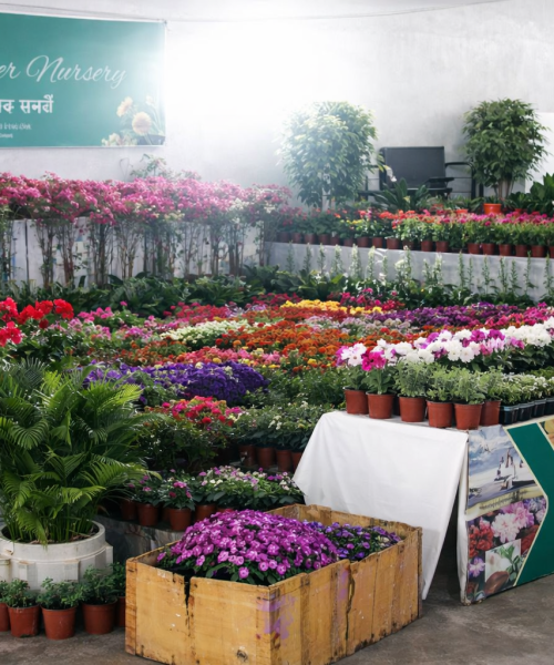 फ्लोरा एक्स्पो २०२६: २७ हजार दर्शक र व्यापारमा नयाँ रेकर्ड