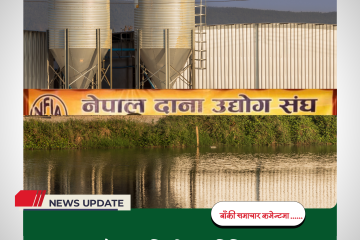 दानाको मूल्यवृद्धि, किसान चिन्तित