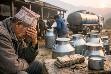 दुग्ध विकास संस्थान र ठूला दूध उद्योगले ६ महिनादेखि भुक्तानी नगर्दा किसान समस्यामा
