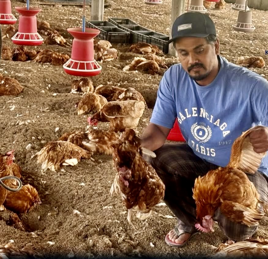 विचार / सम्पादकीय