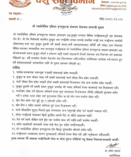 कुखुरा फार्ममा H9 बर्ड फ्लुको खतरा बढ्दै: जैविक सुरक्षा कडा गर्न विभागको निर्देशन