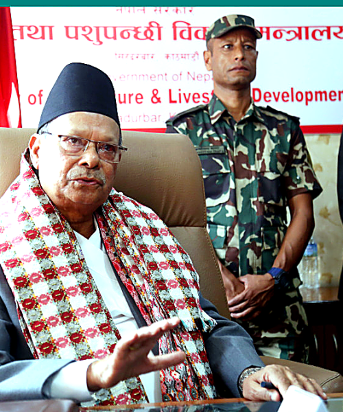 डा. मदनप्रसाद परियारद्वारा कैलालीमा आधुनिक मेसिनबाट चैते धान रोपाइँको सुरुआत