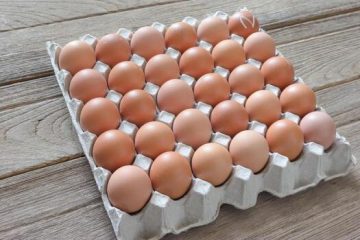 बर्ड फ्लुको प्रभाव: उत्पादनको संकटले अण्डा महँगियो