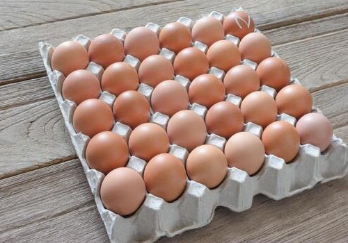 बर्ड फ्लुको प्रभाव: उत्पादनको संकटले अण्डा महँगियो