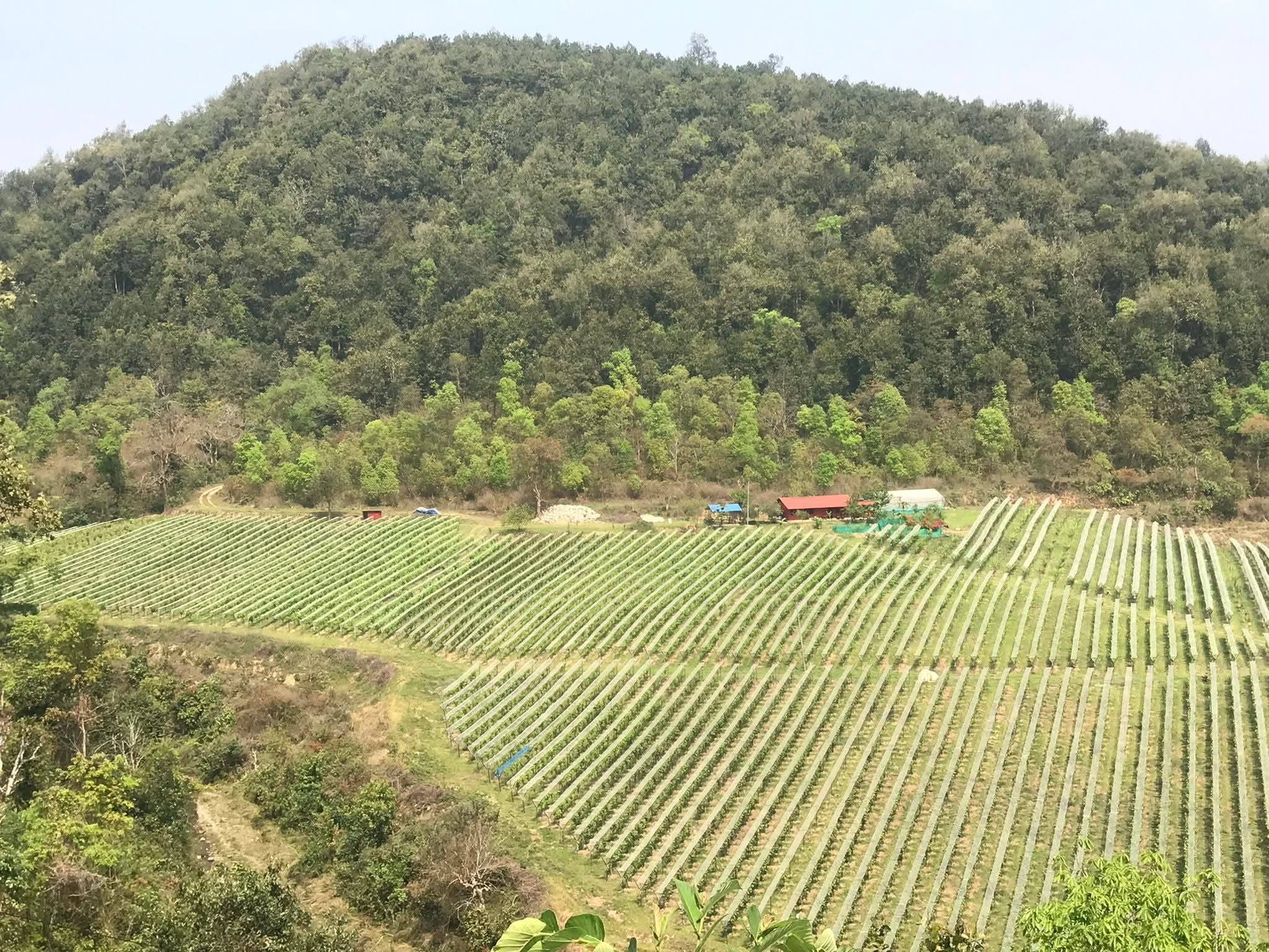 किसानका कुरा