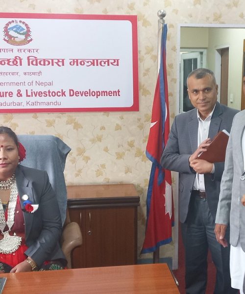 साधारण पृष्ठभूमिबाट मन्त्रीसम्म: को हुन् गीता चौधरी?