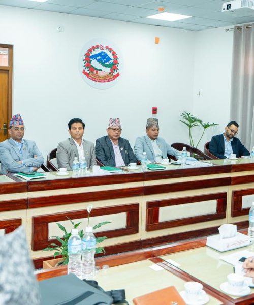 अछामको ‘नौ मुठ्ठे’ गाई संरक्षणमा सांसद खनालको पहल, बजारीकरणबाट सुदूरपश्चिम समृद्धिको लक्ष्य