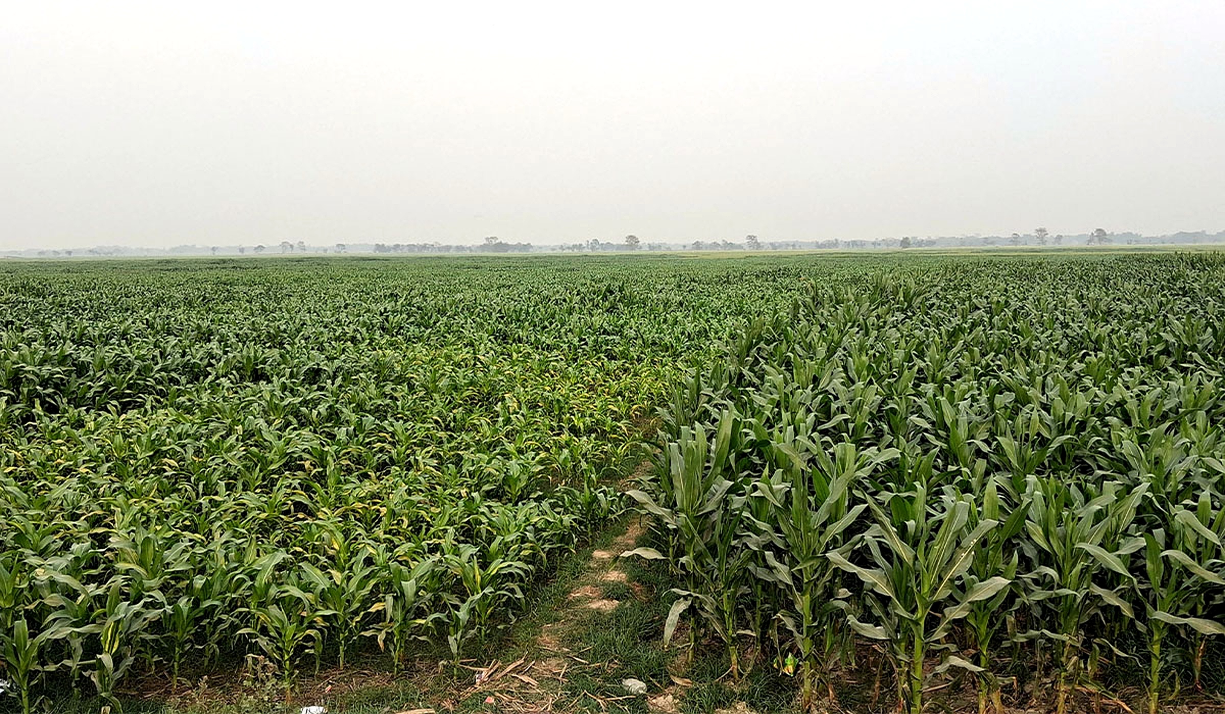 फोटो फिचर