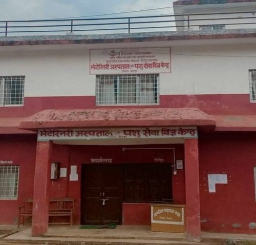 बैतडीमा १७ महिनादेखि चिकित्सकविहीन भेटेरिनरी अस्पताल