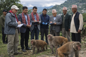 दुई वर्षे अध्ययनसहित बाँदर व्यवस्थापन कार्यक्रम दिक्तेलमा सुरु