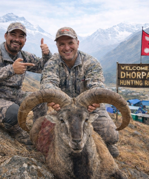 ढोरपाटनमा रोमाञ्चक सिकार याम: लाखौँ खर्च गर्दै विदेशी सिकारी