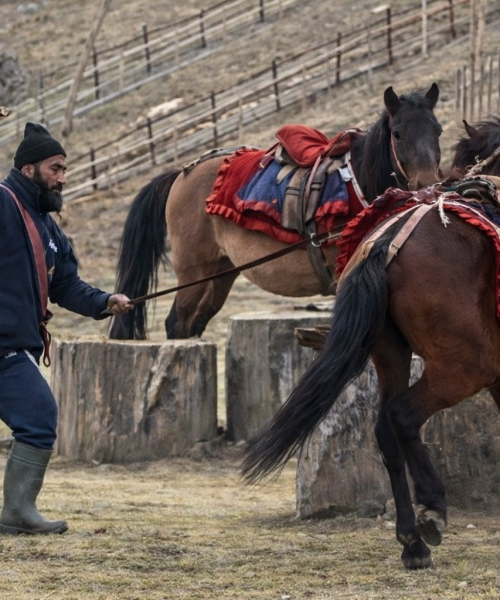 चोलुङ पार्कमा घोडामाथि यातना दिने व्यक्ति पक्राउ