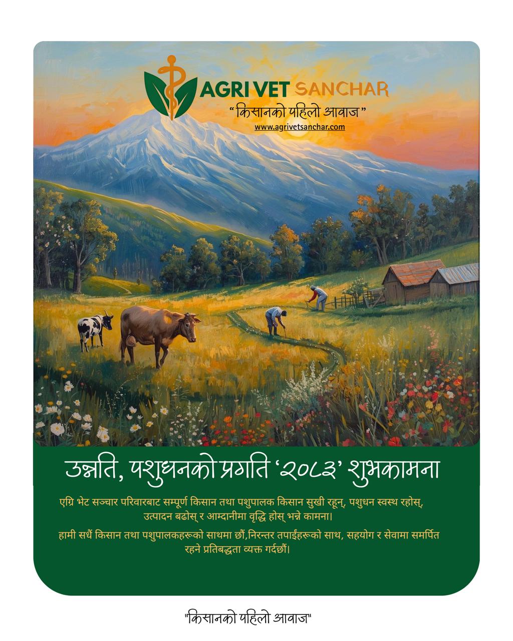 फोटो फिचर