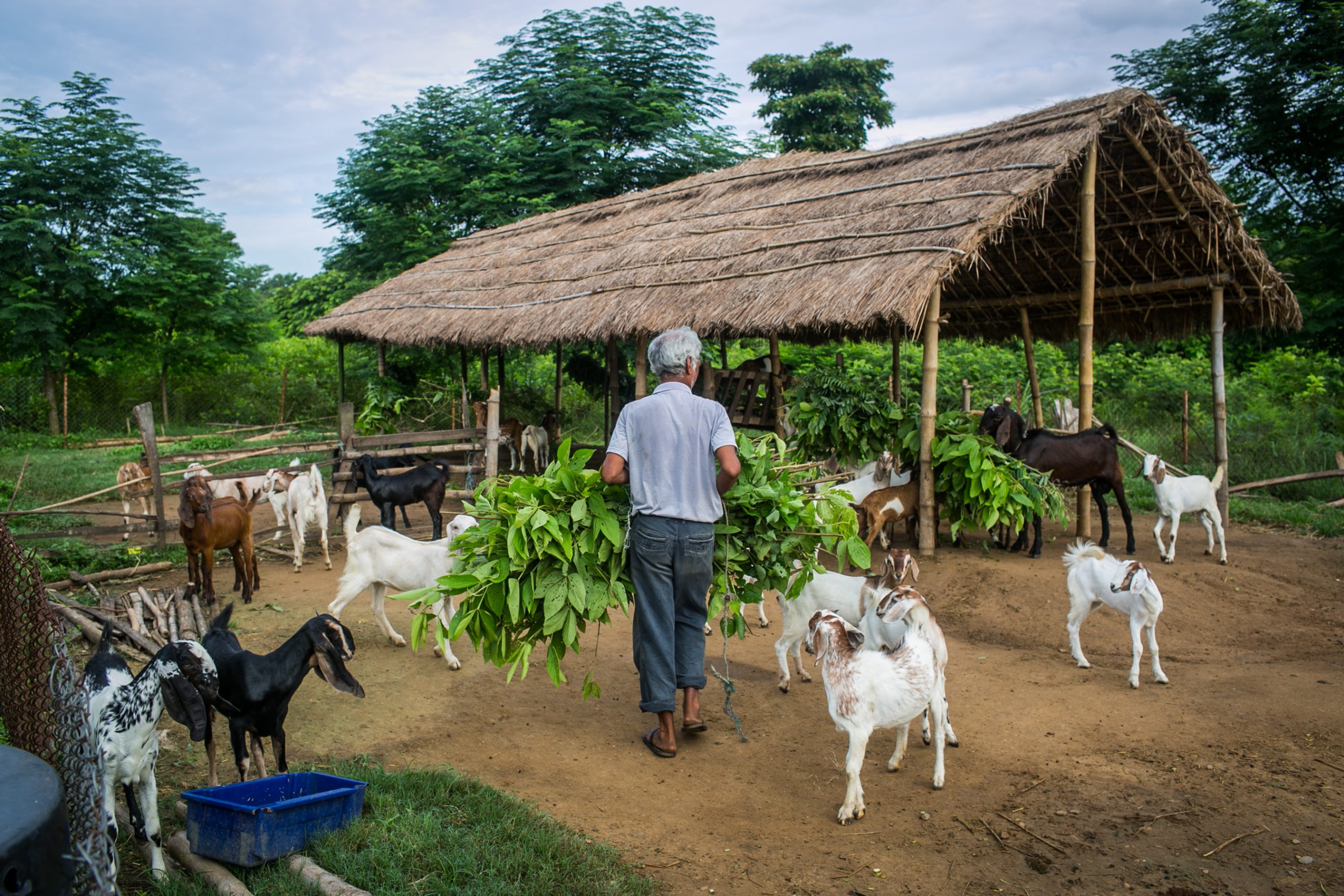 फोटो फिचर