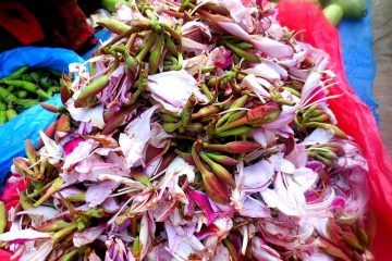 कोइरालोको भाउमा एक्कासी उछाल, प्रतिकिलो ३६० रुपैयाँ पुग्यो