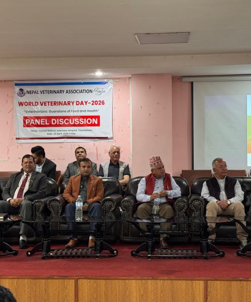 पशुचिकित्सकहरू: खाद्य र स्वास्थ्यका संरक्षक’ मूल नारासहित प्यानेल छलफल सम्पन्न