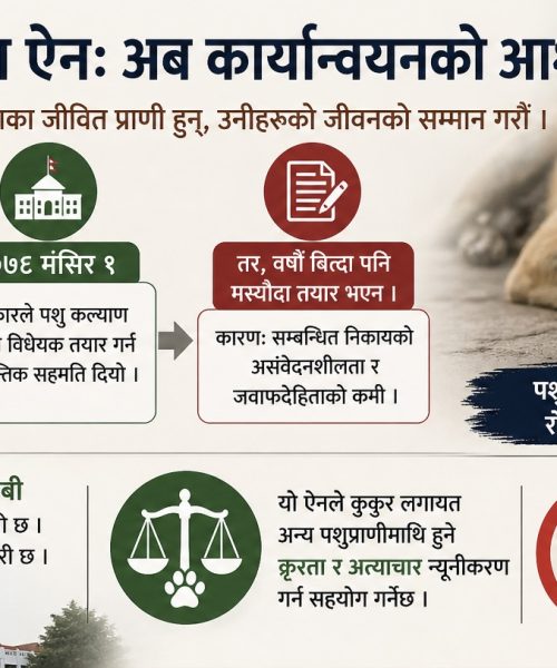 पशु कल्याण ऐन अझै पर्खाइमा : आदेशपछि पनि किन ढिलाइ?