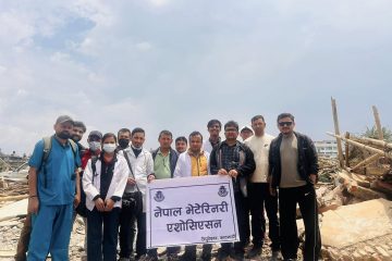 सुकुम्बासी बस्तीमा पशु उद्धार तथा उपचार अभियान तीव्र ।नेपाल भेटेरिनरी एसोसिएसन ।All For Paws।