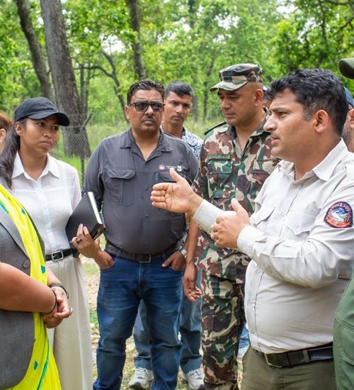 चितवनमा मन्त्री गीता चौधरीको निरीक्षण: मानव–वन्यजन्तु द्वन्द्व न्यूनीकरणदेखि टाइगर सेन्चुरीसम्मका योजनामा जोड