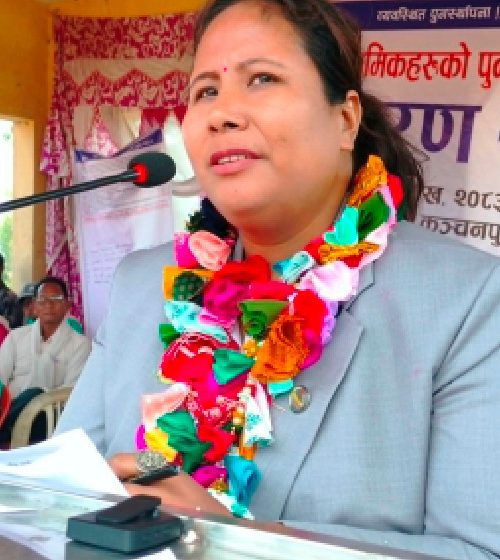 दुग्ध क्षेत्रलाई व्यवसायिक बनाउन सके अर्थतन्त्रमा ठूलो योगदान : मन्त्री चौधरी