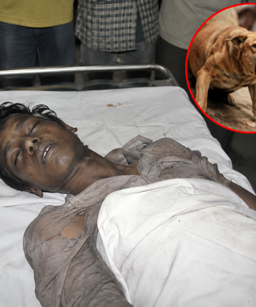 देशभर रेबिज खोपको चरम अभाव : समयमै खोप नपाउँदा टेकुमा एक जनाको मृत्यु