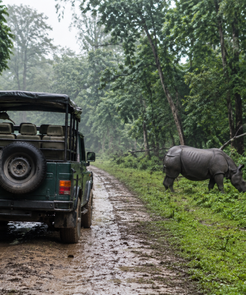 मनसुन सुरुभए सँगै चितवन राष्ट्रिय निकुञ्जको जंगल सफारीमा रोक