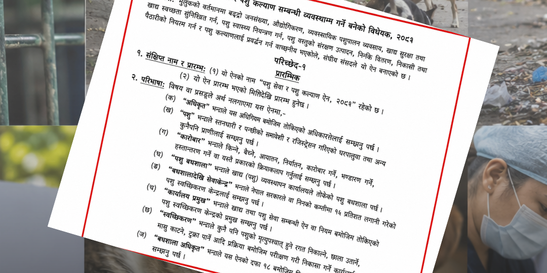 ‘पशु कल्याणभन्दा उत्पादनलाई प्राथमिकता’ भन्दै विधेयक पुनःपरिमार्जनको माग