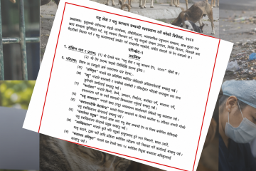 ‘पशु कल्याणभन्दा उत्पादनलाई प्राथमिकता’ भन्दै विधेयक पुनःपरिमार्जनको माग
