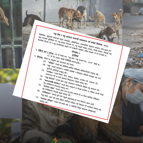 ‘पशु कल्याणभन्दा उत्पादनलाई प्राथमिकता’ भन्दै विधेयक पुनःपरिमार्जनको माग